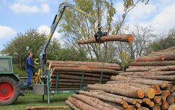 Holztransporte mit Rückeanhänger