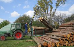 Holztransportarbeiten mit Rückeanhänger