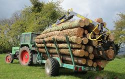 Stammholztransport mit Rückeanhänger