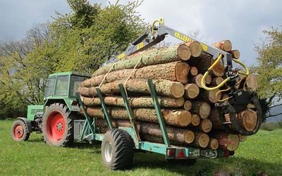 Holztransportarbeiten mit Rückeanhänger